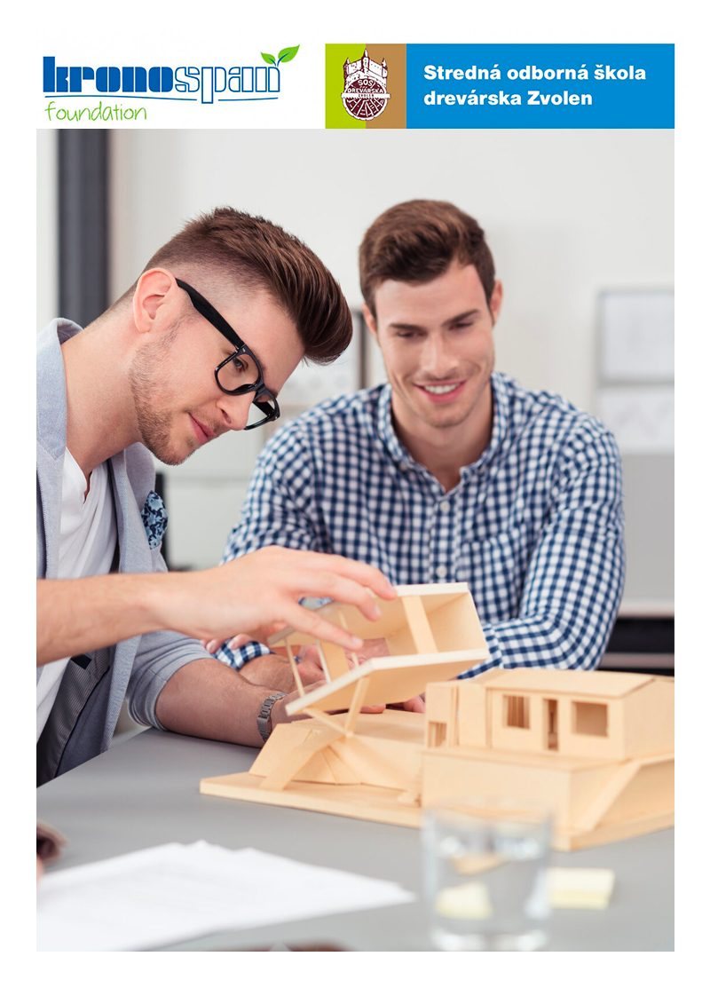 Vocational education poster: two students working on a wooden model